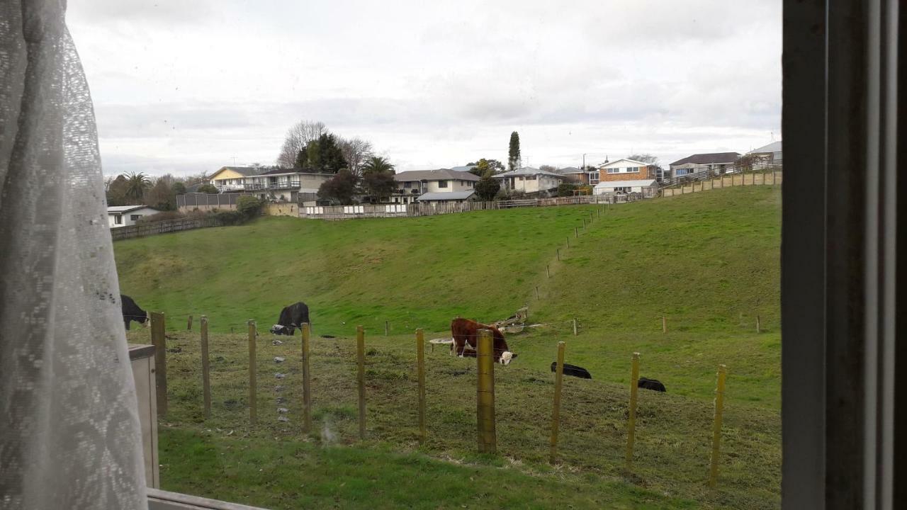 Kea Motel Putaruru Extérieur photo